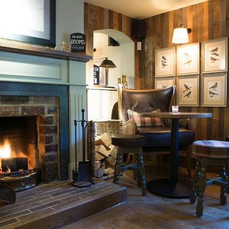 Red Lion Inn Little Budworth Buitenkant foto